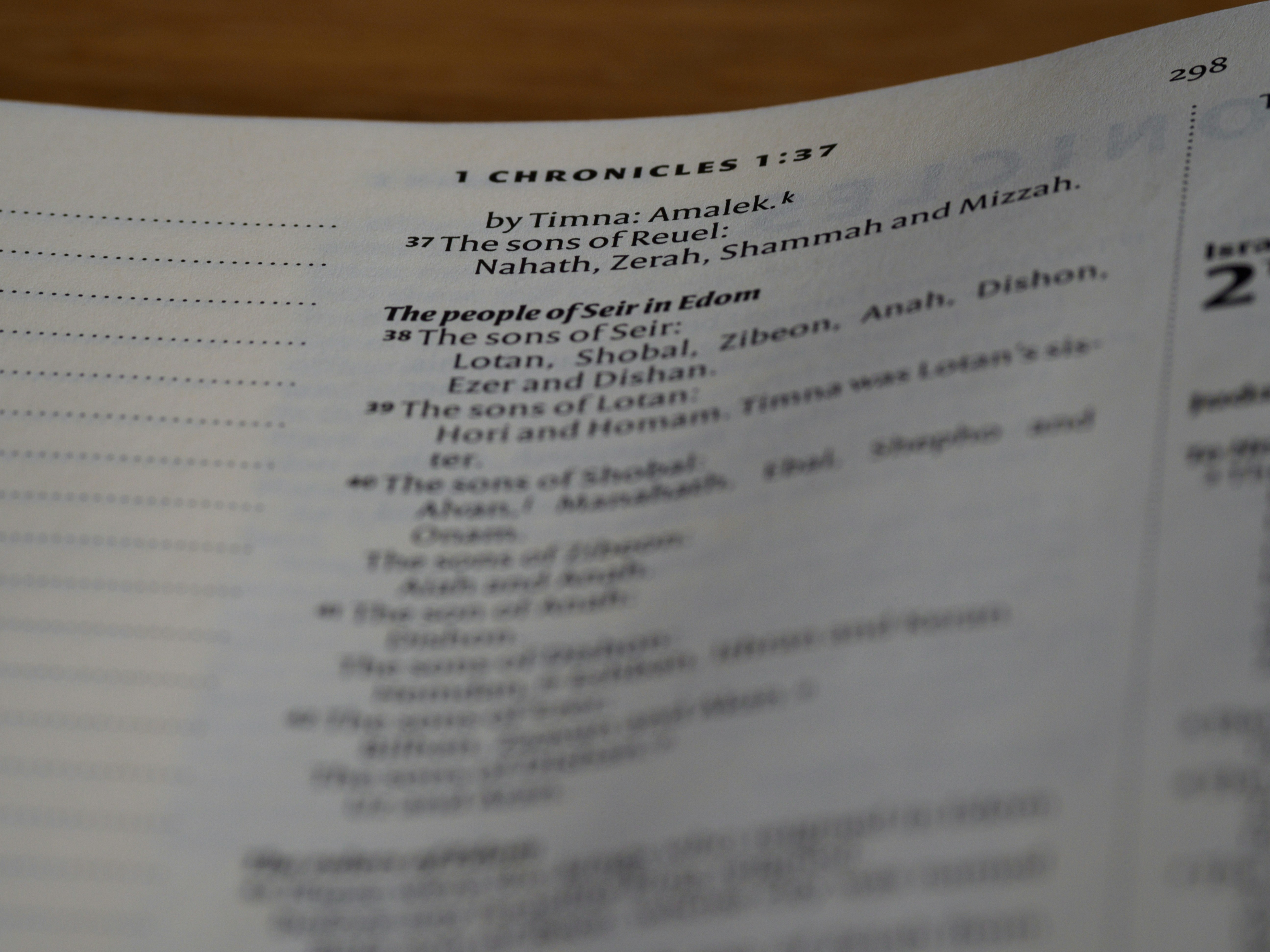 close up, bokeh, macro, blur, blurred background, close focus, bible, old testament, hebrew bible, christian, judaism, history, text, reading, bible study, devotions, text, NIV, New International Version, type, typography, canon, christianity, holy scripture, holy bible, scripture, chronicles, 1 chronicles, דִּבְרֵי־הַיָּמִים, Diḇrê Hayyāmîm, hebrew bible, final book, ketuvim, tanakh, septuagint, Paralipoménōn, Books of Paralipomenon, first chronicles, historical, <br>